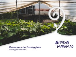 Maramao che Passeggiata | Domenica 3/10