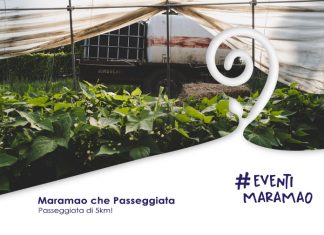 Maramao che Passeggiata | Domenica 3/10