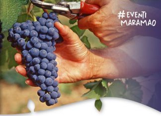 Vendemmia in Danza | Domenica 26/09