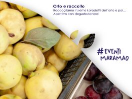 Orto e Raccolto | Sabato 30 ottobre