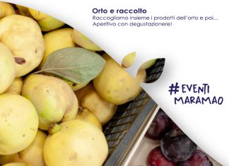 Orto e Raccolto | Sabato 30 ottobre