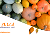 La zucca: la Regina dell’Autunno La zucca: la regina dell'Autunno