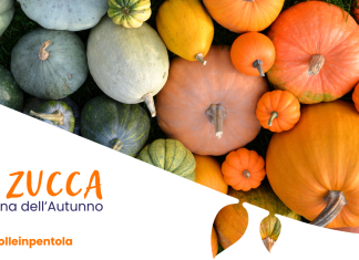 La zucca: la Regina dell’Autunno La zucca: la regina dell'Autunno
