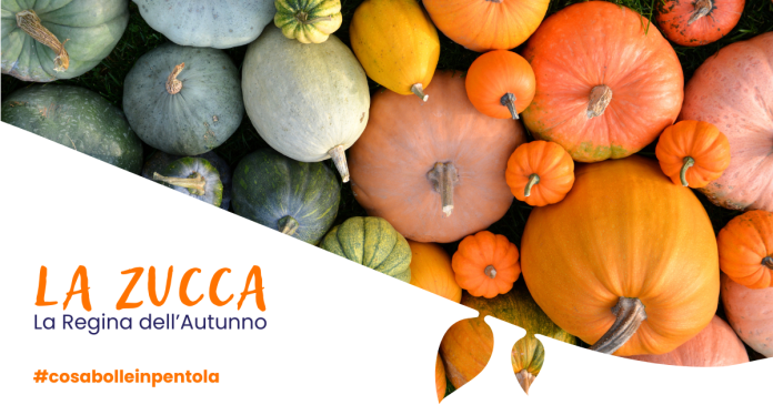 La zucca: la regina dell'Autunno