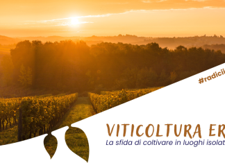 Viticoltura Eroica Viticoltura Eroica