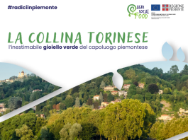 La Collina Torinese La collina torinese