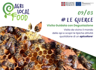 Visita Guidata con Degustazione presso Le Querce Visita Guidata con Degustazione presso Le Querce