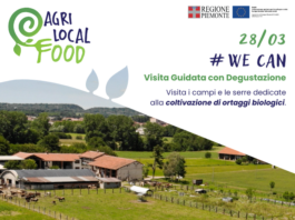 Visita Guidata con Degustazione presso We Can Visita Guidata con Degustazione presso We Can