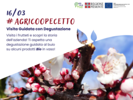 Visita Guidata con Degustazione presso AgriCooPecetto Visita Guidata con Degustazione presso AgriCooPecetto