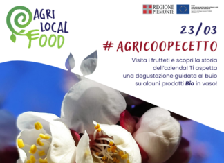Visita Guidata con Degustazione presso AgriCooPecetto Visita Guidata con Degustazione presso AgriCooPecetto