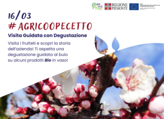 Visita Guidata con Degustazione presso AgriCooPecetto Visita Guidata con Degustazione presso AgriCooPecetto