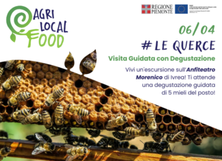 Visita Guidata con Degustazione presso Le Querce Visita Guidata con Degustazione presso Le Querce