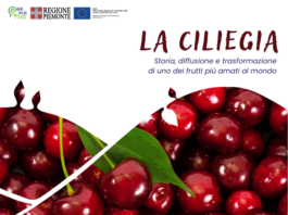 La ciliegia La ciliegia