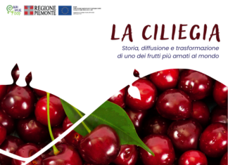 La ciliegia La ciliegia