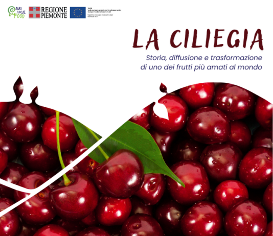 La ciliegia La ciliegia
