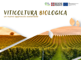 La viticoltura biologica La viticoltura biologica