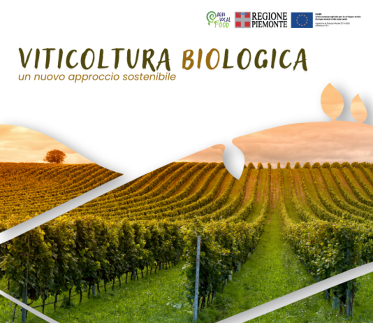 La viticoltura biologica La viticoltura biologica