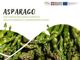 L’asparago L'asparago