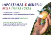 Importanza e benefici della Filiera Corta Importanza e benefici della Filiera Corta