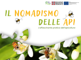 Il nomadismo delle api Il nomadismo delle api