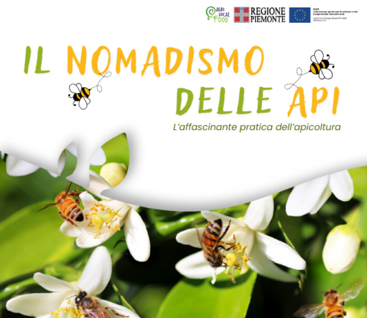 Il nomadismo delle api Il nomadismo delle api